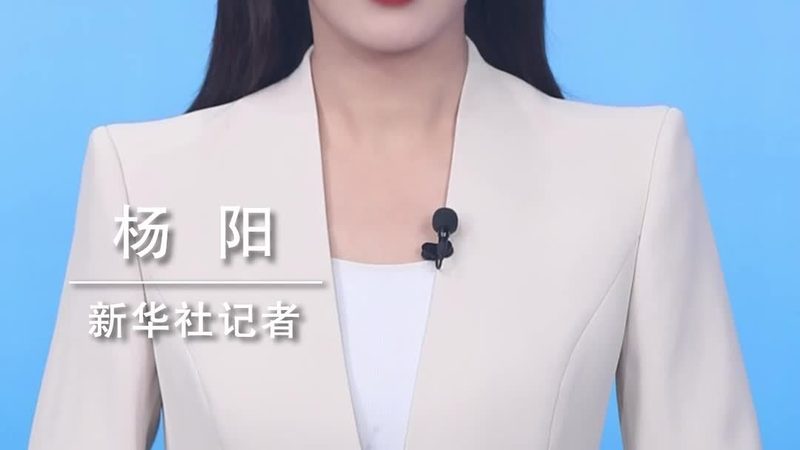智能化改造：定制开发系统参数的考量与优化**